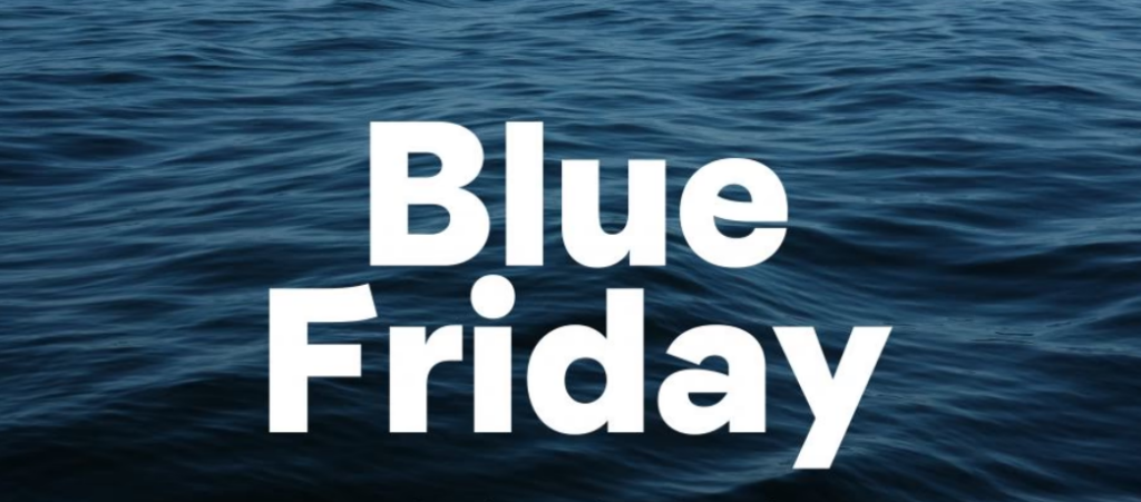 2024: Unleash Your Business's Potential with Blue Friday.io's Revolutionary Digital Solutions